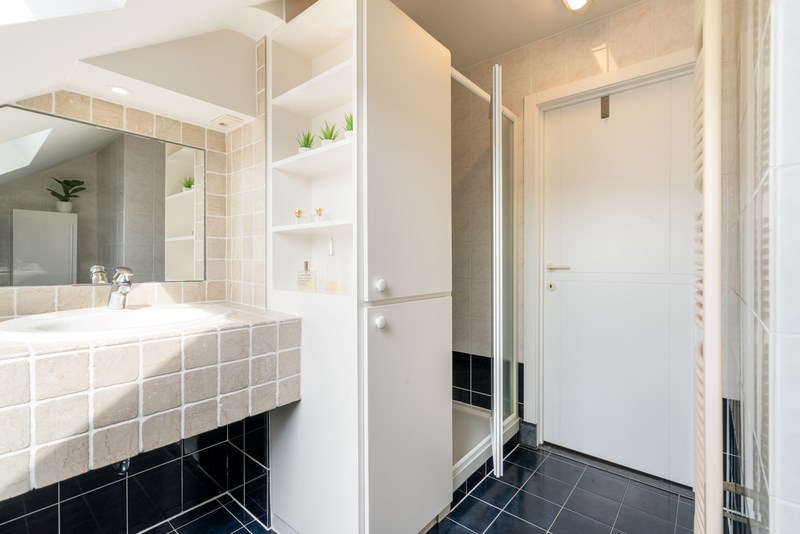 Riante en luxueuze villa  met wellness en weides 