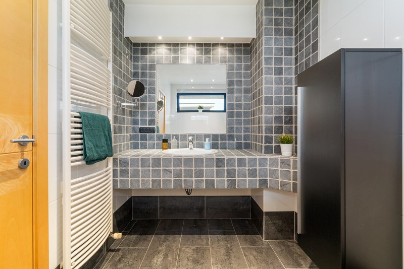 Riante en luxueuze villa  met wellness en weides 